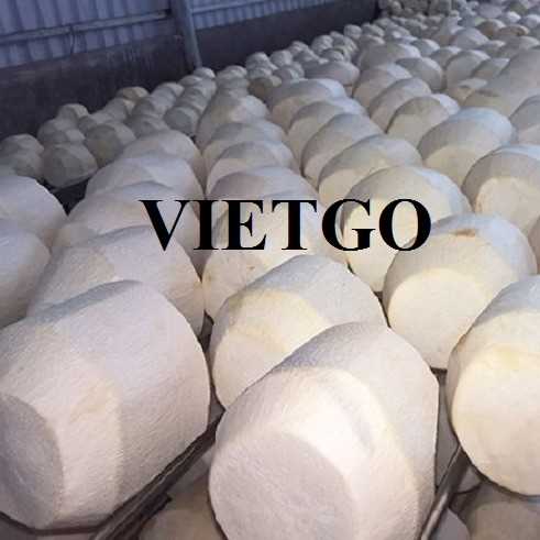 Cơ hội xuất khẩu dừa đến thị trường Thổ Nhĩ Kỳ