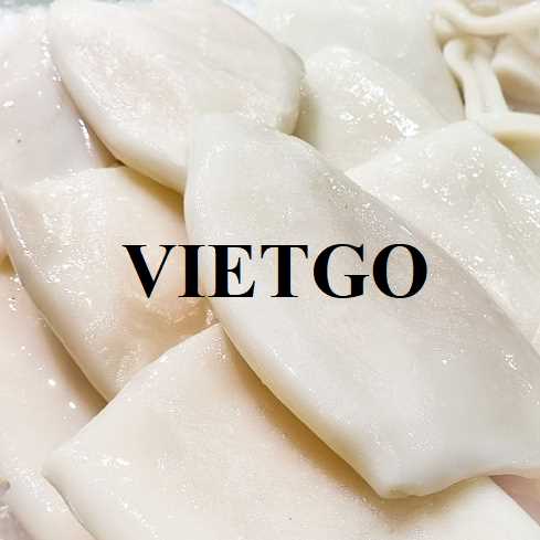 Cơ hội xuất khẩu bạch tuộc và mực sang thị trường Panama