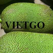 Cơ hội hợp tác xuất khẩu mít tươi đến thị trường Mỹ