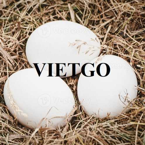 Cơ hội xuất khẩu trứng sang thị trường UAE
