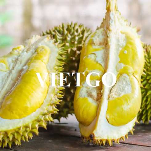 Thương vụ hợp tác xuất khẩu sầu riêng Ri6 sang thị trường UAE