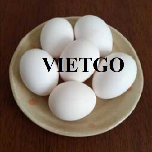 Cơ hội hợp tác xuất khẩu trứng trắng đến thị trường Oman