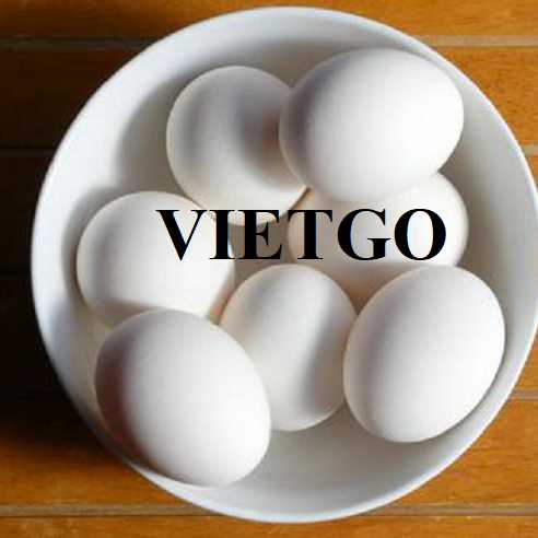 Cơ hội hợp tác xuất khẩu trứng trắng sang thị trường UAE