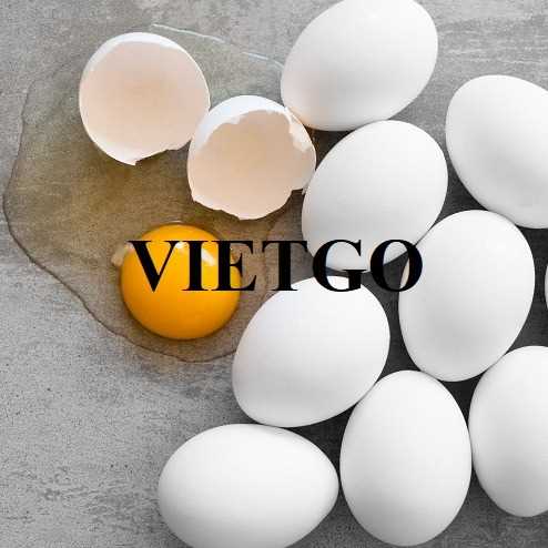 Cơ hội xuất khẩu trứng sang thị trường UAE