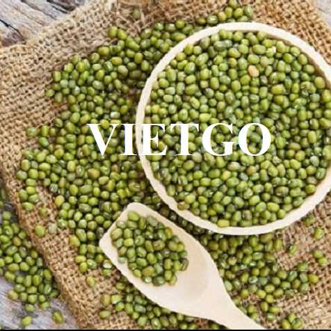 Cơ hội hợp tác xuất khẩu đậu xanh và đậu lăng vàng sang thị trường Malaysia