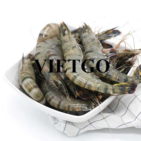Cơ hội xuất khẩu tôm sú sang thị trường Trung Quốc