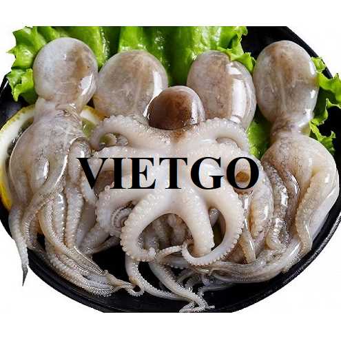 Cơ hội xuất khẩu bạch tuộc sang thị trường Trung Quốc