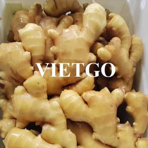 Cơ hội xuất khẩu gừng sang thị trường UAE