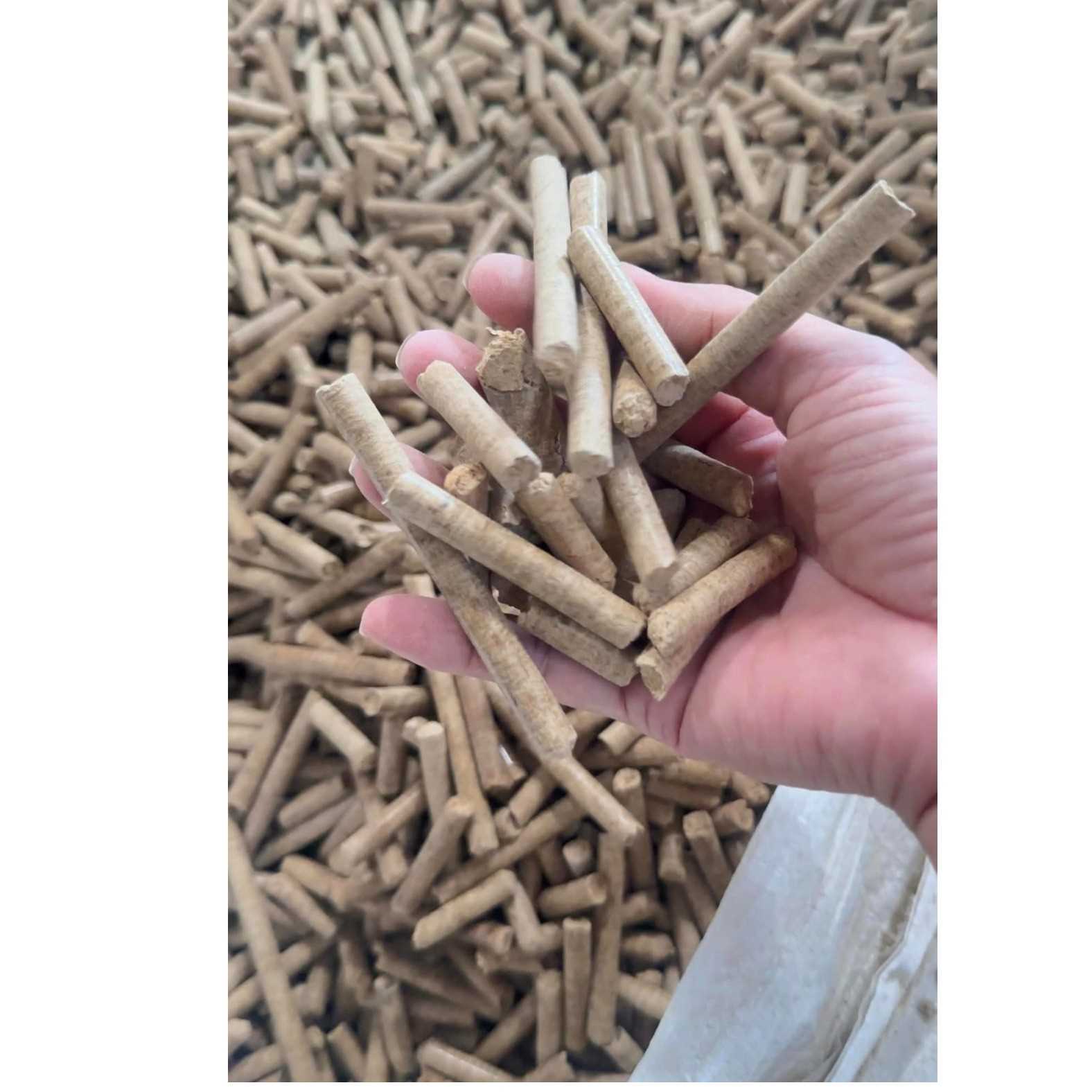 I want to buy rice husk pellet