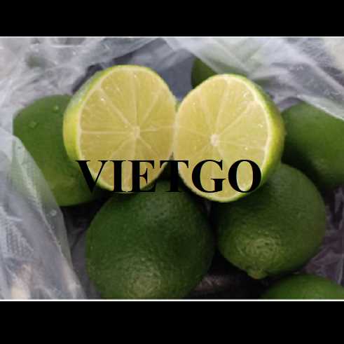 Cơ hội hợp tác xuất khẩu chanh xanh không hạt đến thị trường Oman
