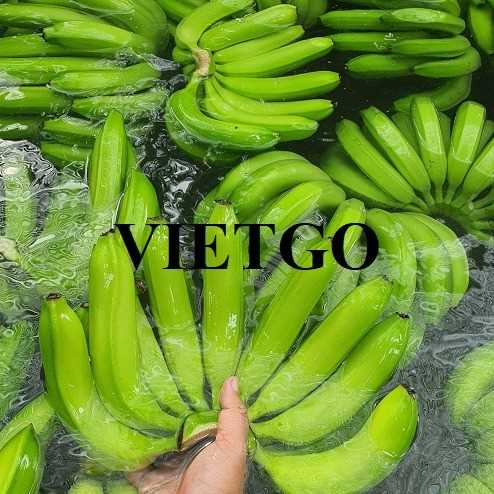 Cơ hội xuất khẩu chuối đến thị trường Thổ Nhĩ Kỳ