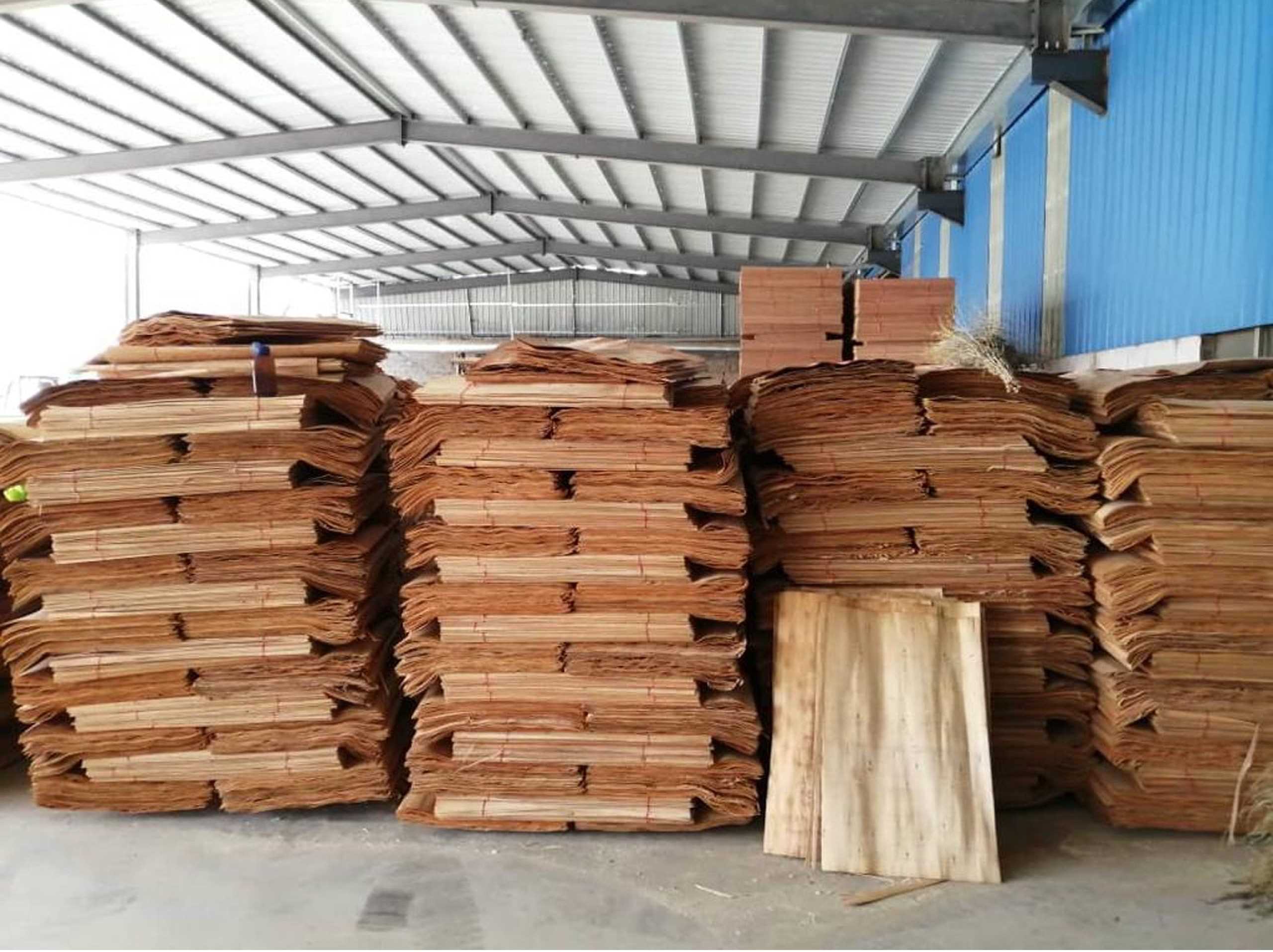 Cần tìm đơn vị vận tải vận chuyển mặt hàng ván bóc đi Mundra, Ấn Độ