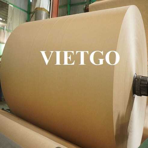 Cơ hội xuất khẩu cuộn giấy kraft sang thị trường Ireland