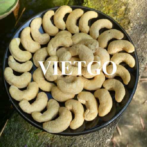 Cơ hội hợp tác xuất khẩu hạt điều W240 và W320 sang thị trường Ấn Độ