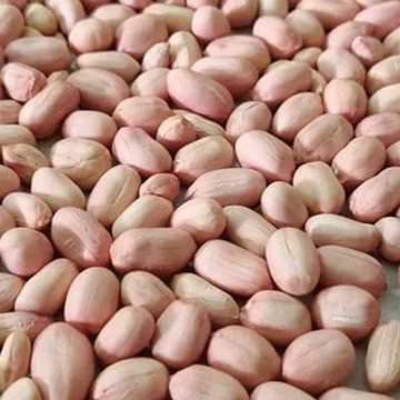 i'm looking for peanut