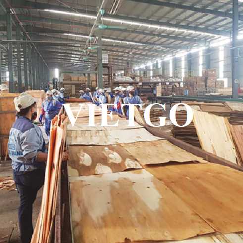 Thương vụ xuất khẩu ván bóc sang thị trường Ấn Độ