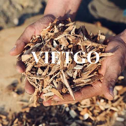 Cơ hội hợp tác xuất khẩu gỗ vụn tới thị trường Thái Lan