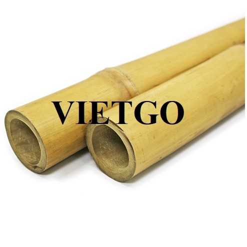 Cơ hội hợp tác xuất khẩu gậy tre cùng vị khách hàng người Dominica