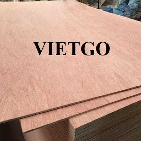 Thương vụ xuất khẩu gỗ dán đến thị trường Ấn Độ