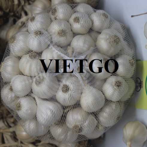 Cơ hội hợp tác xuất khẩu tỏi đến thị trường Bangladesh