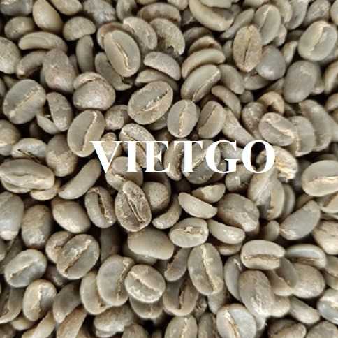 Thương vụ hợp tác xuất khẩu hạt cà phê xanh Arabica và Robusta sang thị trường Slovenia