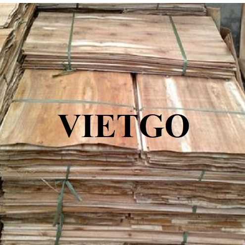 Thương vụ xuất khẩu ván bóc đến thị trường Ấn Độ