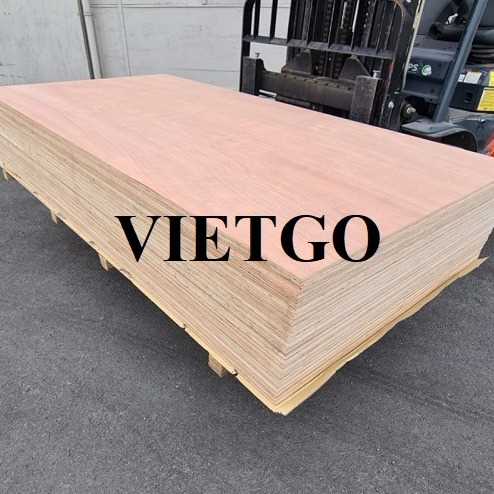 (Cập nhật thông tin đơn hàng) Thương vụ xuất khẩu gỗ dán sang thị trường Ấn Độ