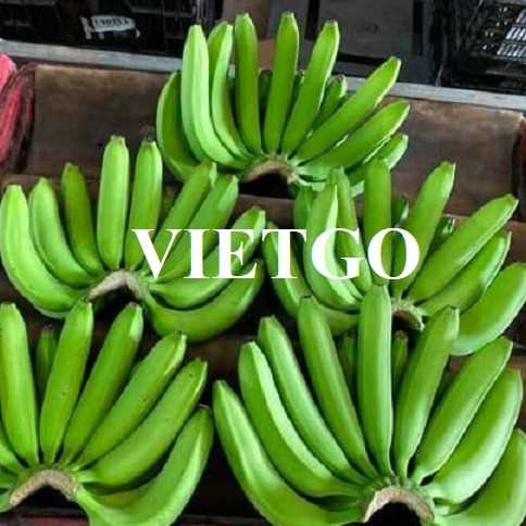 (Gấp) Cơ hội giao thương xuất khẩu sản phẩm chuối sang thị trường Malaysia