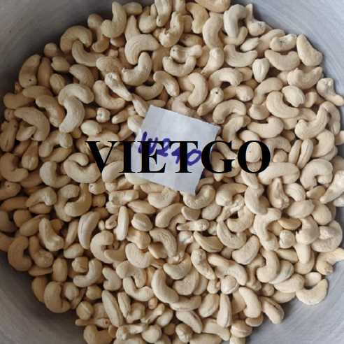 Cơ hội hợp tác xuất khẩu hạt điều đến thị trường Mỹ 