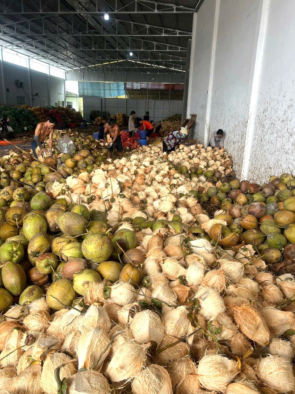 Cần tìm FWD báo giá cước vận tải