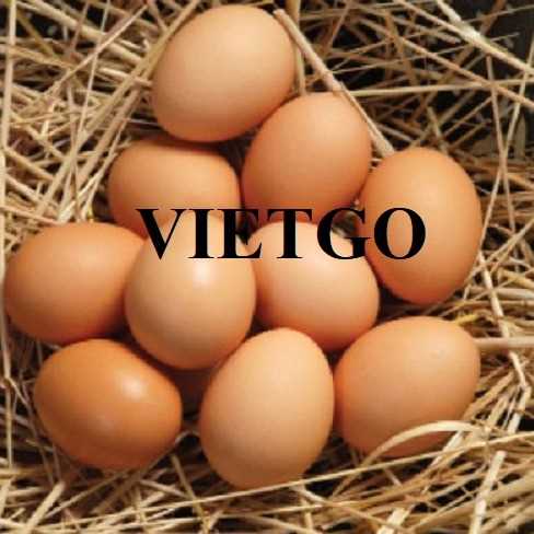 Cơ hội hợp tác xuất khẩu trứng đến thị trường Cuba