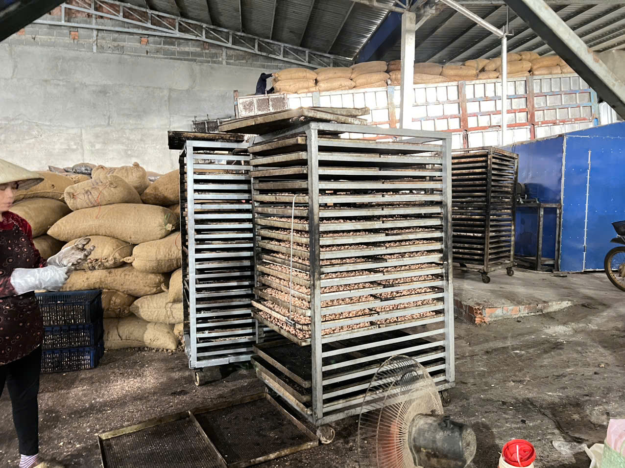 Cần tìm FWD báo giá cước điều đi Ấn Độ