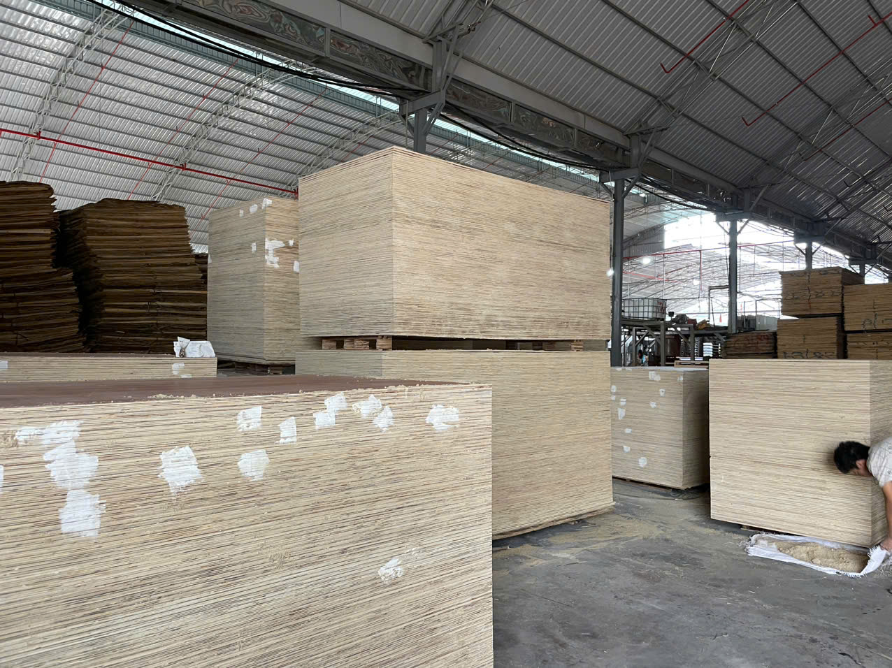 Cần tìm đơn vị vận tải vận chuyển hàng gỗ dán đi Ấn Độ