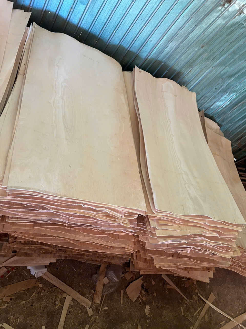 Cần tìm FWD báo giá cước vận tải hàng ván bóc đi Ấn Độ
