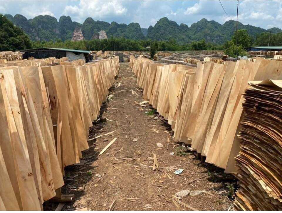 Cần tìm đơn vị vận tải sản phẩm Ván bóc sang Ấn Độ