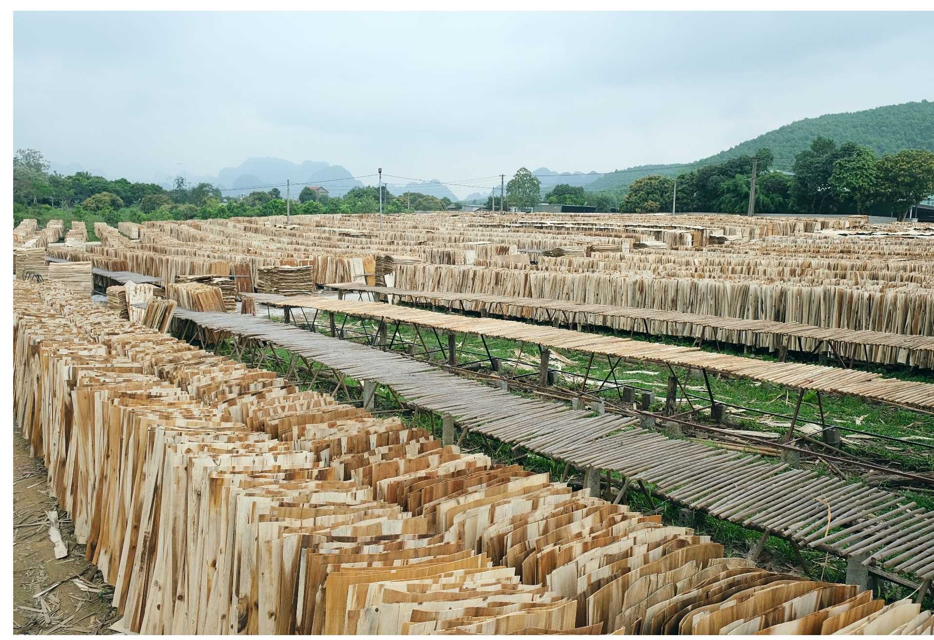 Cần tìm đơn vị vận tải sản phẩm Ván bóc sang Ấn Độ