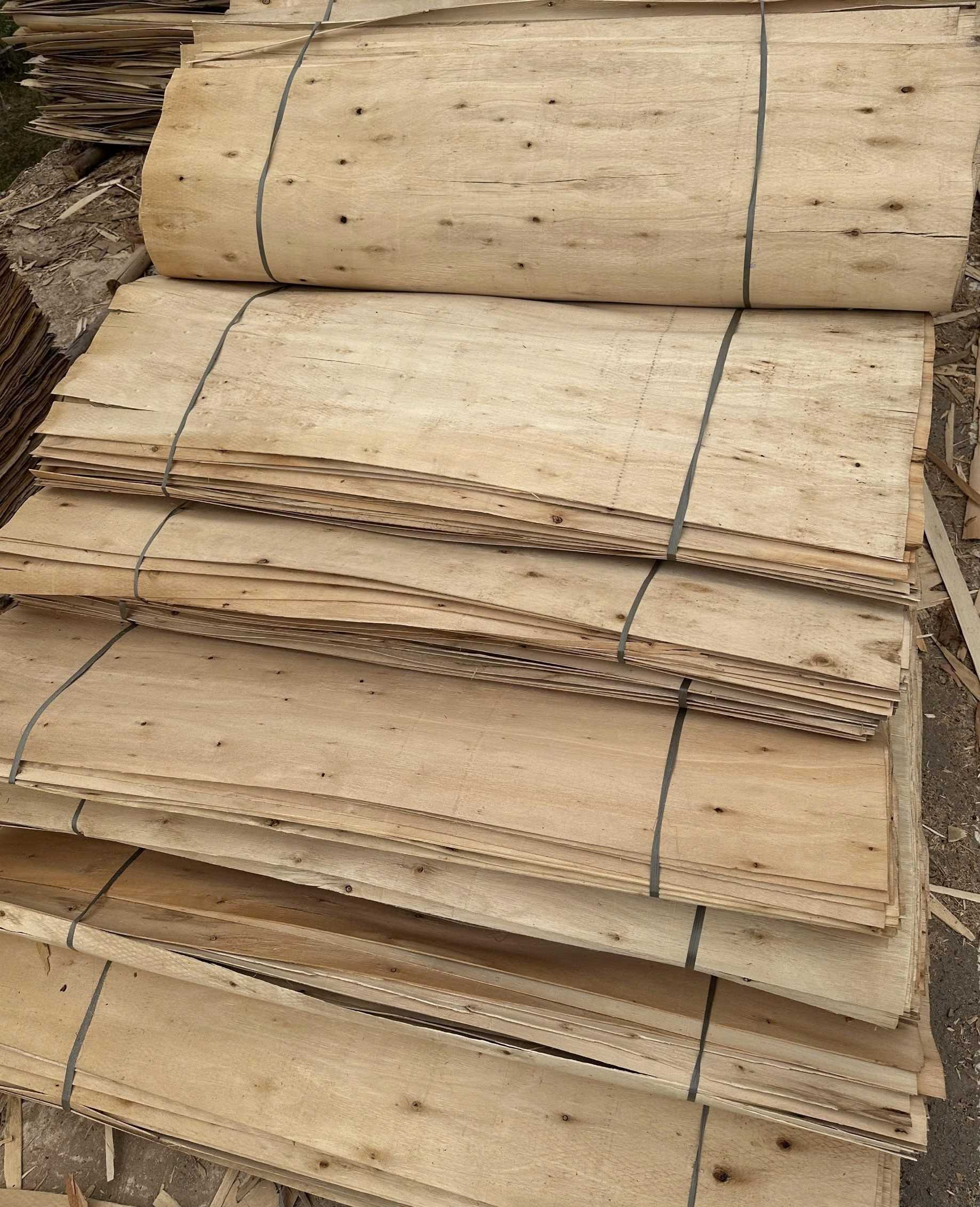Cần tìm đơn vị vận tải sản phẩm Ván bóc sang Mumdra, Ấn Độ