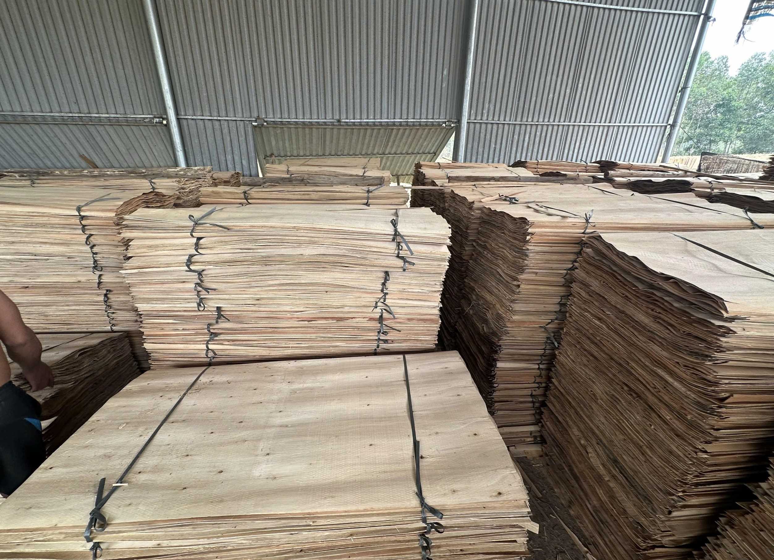 Cần tìm FWD báo giá sản phẩm Ván bóc sang Panipat, Ấn Độ