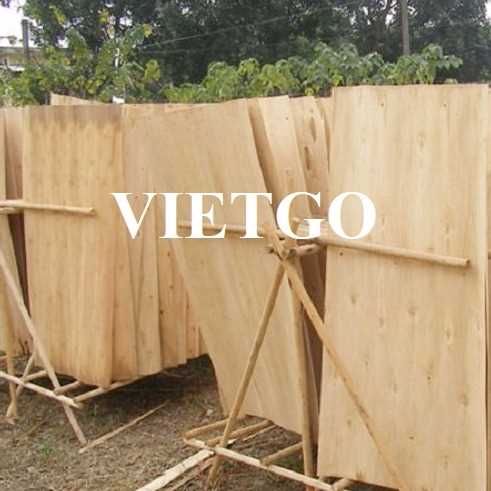 Thương vụ xuất khẩu ván bóc đến thị trường Ấn Độ
