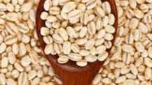 I want to buy barley