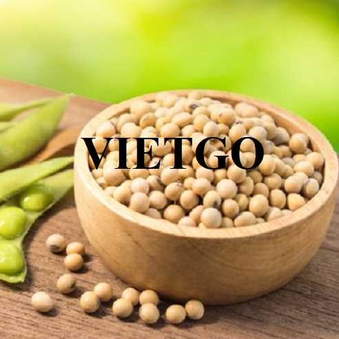 Cơ hội hợp tác xuất khẩu đậu nành đến thị trường Thổ Nhĩ Kỳ