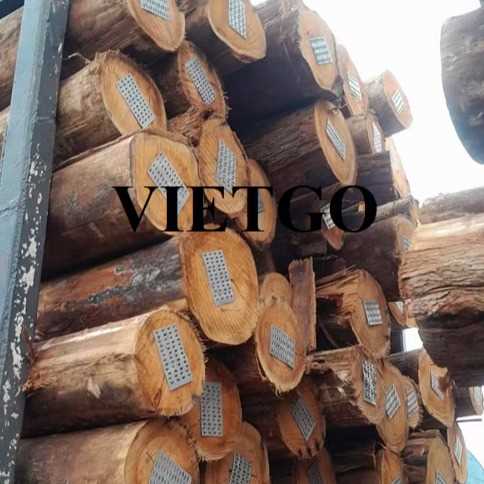 Thương vụ xuất khẩu gỗ bạch đàn tròn sang thị trường Trung Quốc