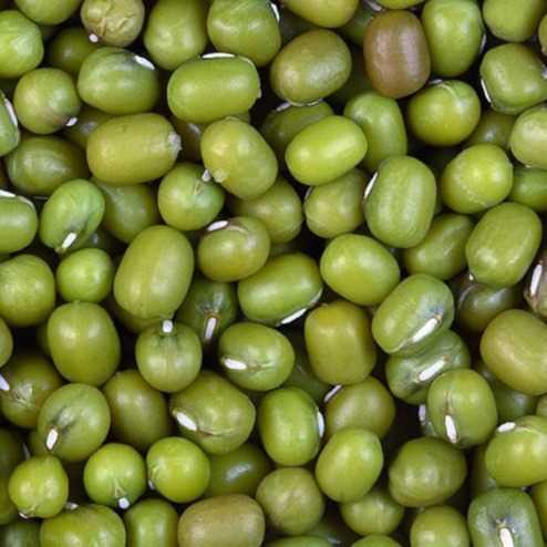 i want to buy Green Mung bean