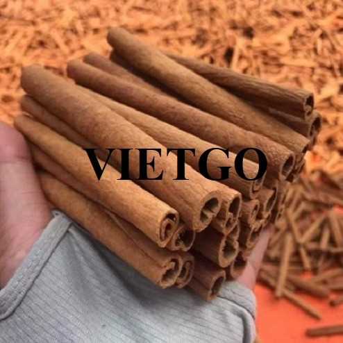Cơ hội hợp tác xuất khẩu quế ống sáo đến thị trường Thổ Nhĩ Kỳ