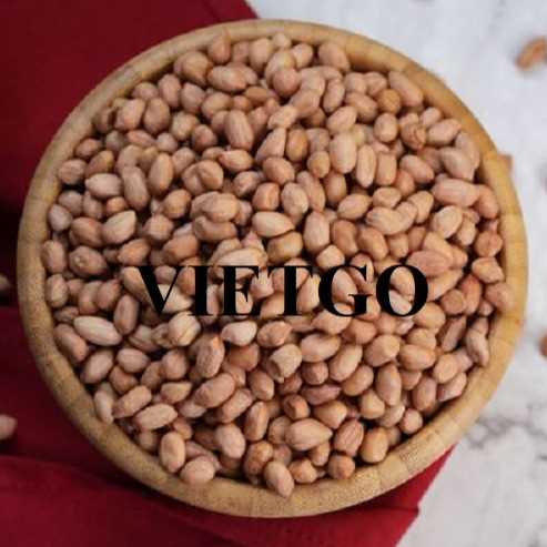 Cơ hội hợp tác xuất khẩu lạc tới thị trường UAE