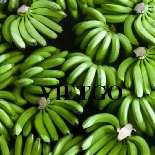 Cơ hội xuất khẩu Chuối Cavendish đến thị trường Iran