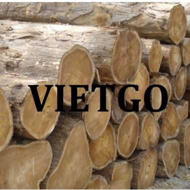 Thương vụ xuất khẩu gỗ teak tròn sang thị trường Ấn Độ 