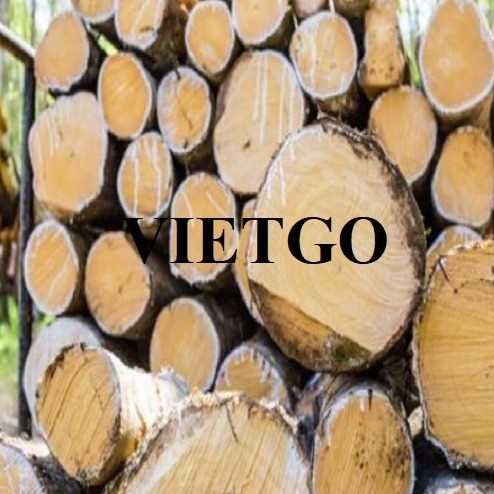 Thương vụ xuất khẩu gỗ cao su tròn sang thị trường Ấn Độ