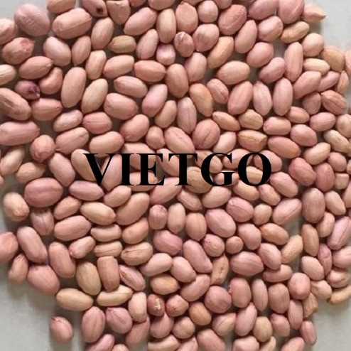 Cơ hội giao thương xuất khẩu lạc đến thị trường Trung Quốc 