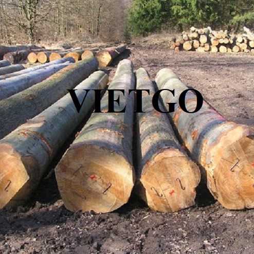 Thương vụ xuất khẩu gỗ dẻ gai tròn sang thị trường Ấn Độ